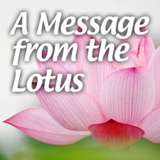 A message from the lotus